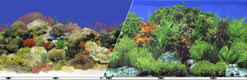 Blue Ribbon Pet Products - Background Double-sided Coral Reef/freshwater