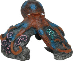 Blue Ribbon Pet Products - Exotic Environments Blue Ring Octopus