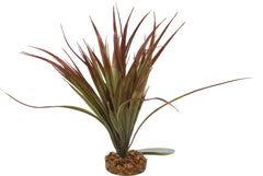 Blue Ribbon Pet Products - Color Burst Florals Mini Sword Plant