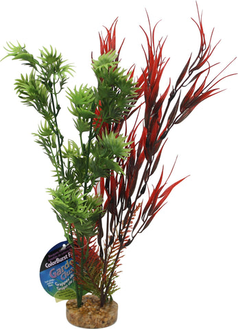 Blue Ribbon Pet Products - Color Burst Florals Water Harvest Plant