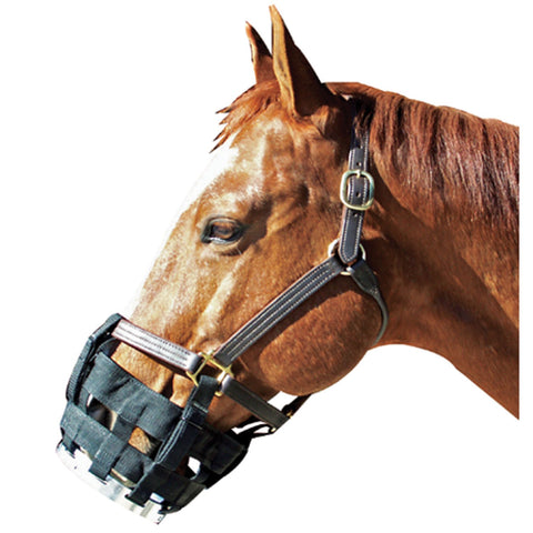 Best Friend Equine - Free-to-eat Cribbing Muzzle