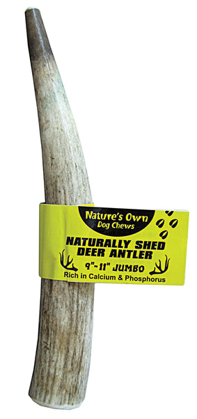 Best Buy Bones - Nature' S Own Naturally Shed Elk Antler Dog Chew