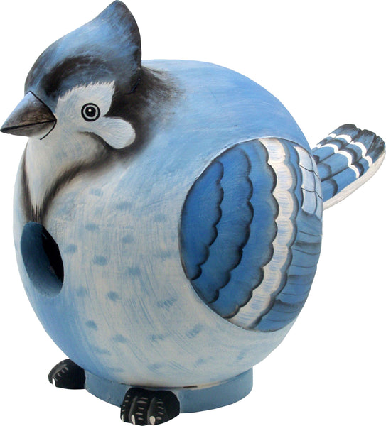 Songbird Essentials - Gordo Blue Jay Birdhouse