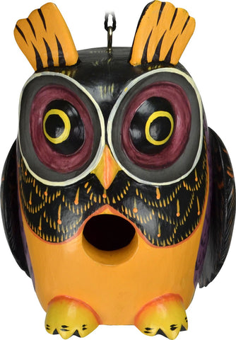 Songbird Essentials - Gordo Fall Colors Owl Birdhouse