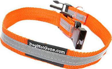 Dog Not Gone - Reflective Dog Collar