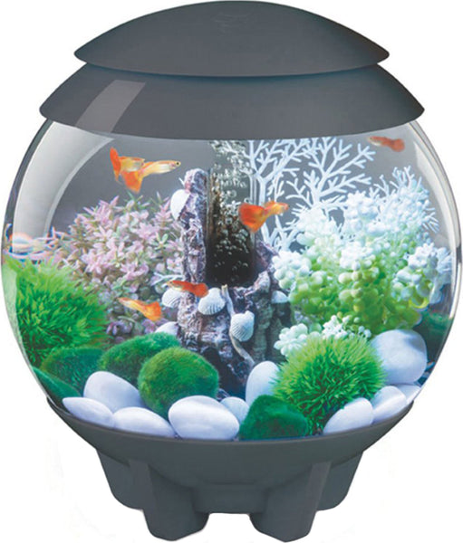 Oase-Aquatics-Biorb Halo 15 Mcr Aquarium