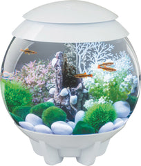 Oase - Aquatics - Biorb Halo 15 Mcr Aquarium