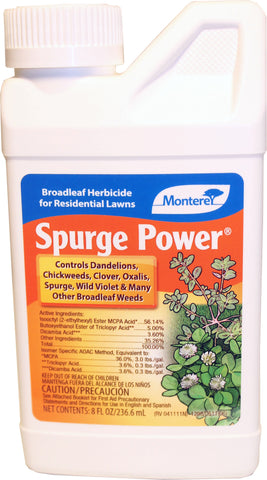 Monterey               P - Spurge Power