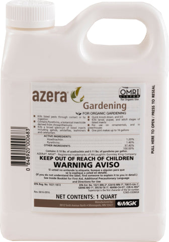 Monterey               P - Azera Gardening