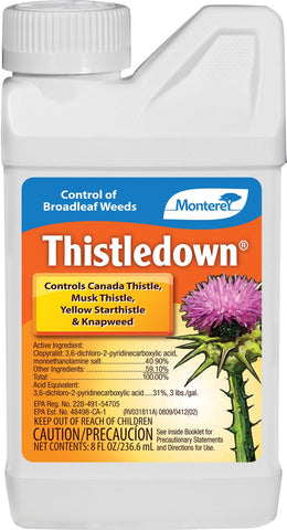 Monterey               P - Thistle Down