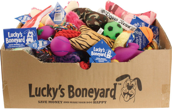 Petsport - Luckys Boneyard Tear Away Carton Display