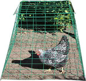 Animal Supplies Internat - Pyramid Poultry Wire Cage