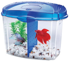 Aqueon Products - Glass - Betta Bowl Kit With Divider