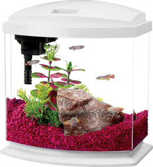 Aqueon Products - Glass - Aqueon Led Minibow Aquarium Kit