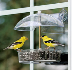 Droll Yankees Inc - The Winner Multi-purpose Window Feeder