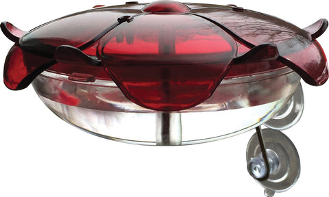 Droll Yankees Inc - Ruby Sipper Window Hummingbird Feeder