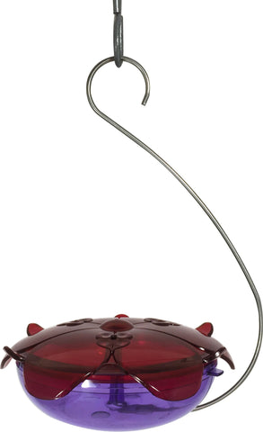 Droll Yankees Inc - Ruby Sipper Hanging Hummingbird Feeder