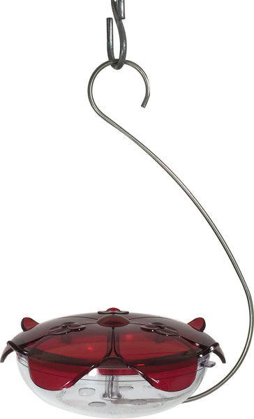 Droll Yankees Inc - Ruby Sipper Hanging Hummingbird Feeder