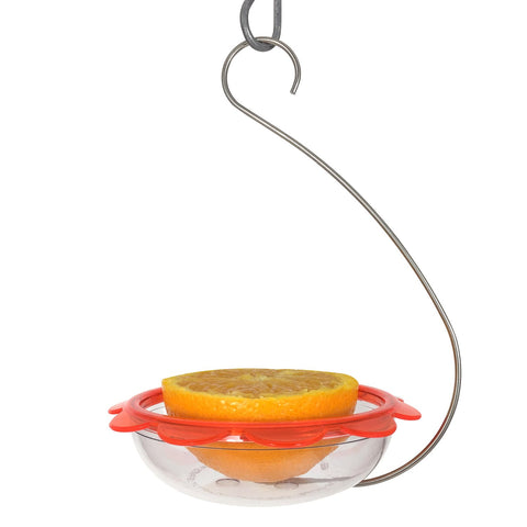 Droll Yankees Inc - Bos Marmalade Hanging Oriole Feeder