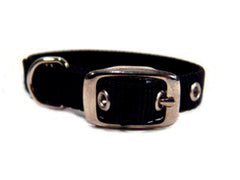 Hamilton Pet Company - Single Thick Nylon Dog Collar