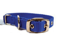 Hamilton Pet Company - Single Thick Nylon Dog Collar