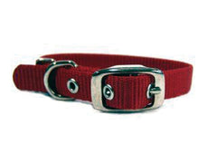 Hamilton Pet Company - Single Thick Nylon Dog Collar