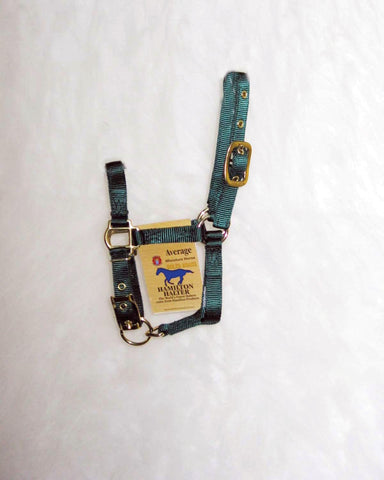 Hamilton Halter Company - Adjustable Miniature Horse Halter