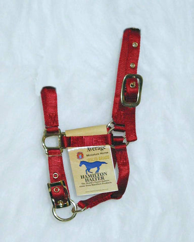 Hamilton Halter Company - Adjustable Miniature Horse Halter