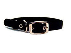 Hamilton Pet Company - Single Thick Nylon Dog Collar