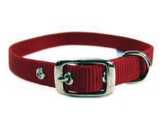 Hamilton Pet Company - Single Thick Nylon Dog Collar