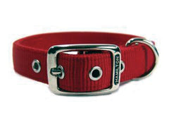 Hamilton Pet Company - Double Thick Nylon Dog Collar