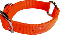 Hamilton Pet Company - Safe-rite Dog Collar With Tape