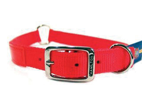 Hamilton Pet Company - Safe-rite Dog Collar With Tape