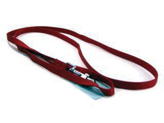 Hamilton Pet Company - Single Thick Nylon Lead