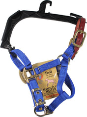 Hamilton Halter Company - Adjustable Horse Halter With Leather Headpole