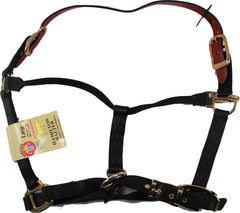 Hamilton Halter Company - Adjustable Horse Halter With Leather Headpole