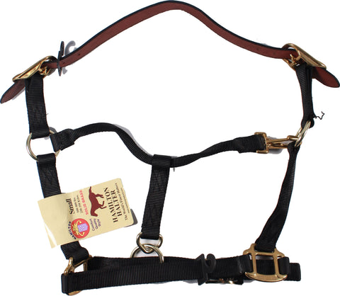 Hamilton Halter Company - Adjustable Horse Halter With Leather Headpole