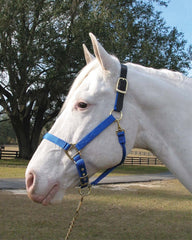 Hamilton Halter Company - Adjustable Horse Halter With Leather Headpole