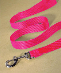 Hamilton Pet Company - Single Thick Nylon Lead