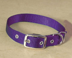 Hamilton Pet Company - Single Thick Nylon Dog Collar