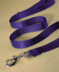 Hamilton Pet Company - Single Thick Nylon Lead