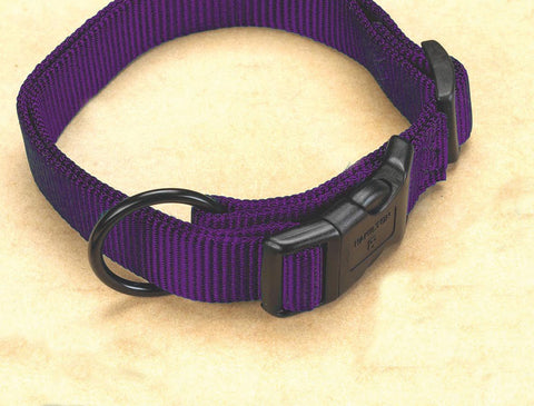 Hamilton Pet Company - Adjustable Dog Collar