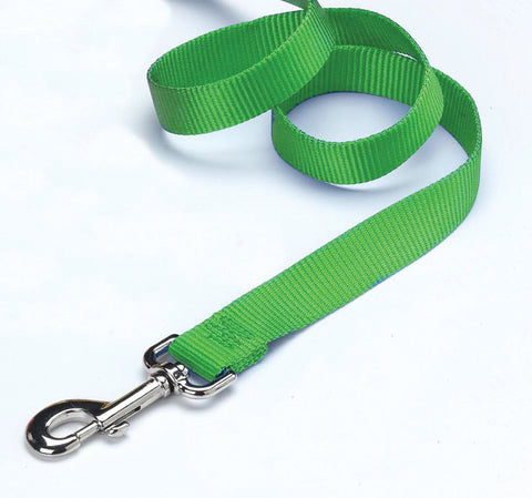 Hamilton Pet Company - Single Thick Nylon Lead