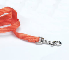 Hamilton Pet Company - Single Thick Nylon Lead