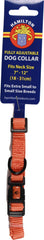 Hamilton Pet Company - Adjustable Dog Collar