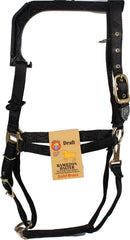 Hamilton Halter Company - Adjustable Chin Horse Halter With Snap