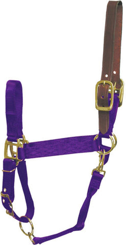 Hamilton Halter Company - Adjustable Horse Halter With Leather Headpole