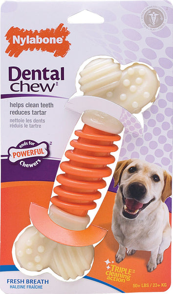 Tfh Publications/nylabone - Dental Chew Pro Action