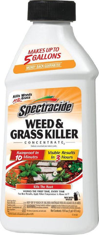 Spectracide - Weed And Grass Concentrate (Case of 6 )