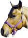 Horse And Livestock Prime - Halter Leather Crown Econ